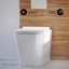 Cuvette de toilette Concorde Back-to-Wall