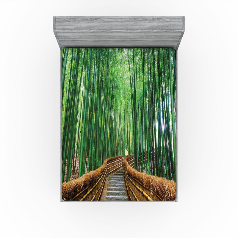 Ensemble de 2 draps-housse Ambesonne Jungle, Drap-housse de taille très grand