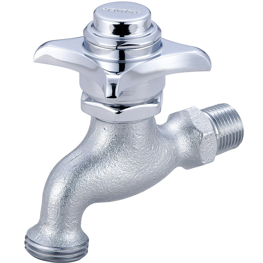 Wall Mount Garage Faucet Central Brass