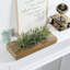 Herbes artificielles d'intérieur en boîte en bois