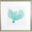 Sea Fan VI Print by Vision