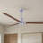 Alessandra 56'' Ceiling Fan-1813772001-1813771989