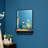Dardanella Rectangle Mirror with Hooks and Shelves