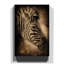 Face Photographic - Wrapped Canvas-19095481