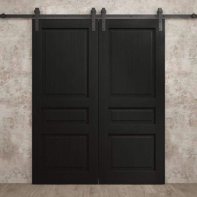 Porte de grange double moderne | Ego 5012 | Ensemble de rails | Portes intérieures solides, 84 po x 84 po, Chêne noir peint
