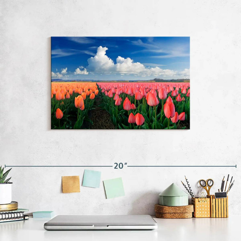Harnek orange et tulipes roses, H 8 po x l 12 po
