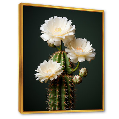 Cactus ivoire isolé sur toile