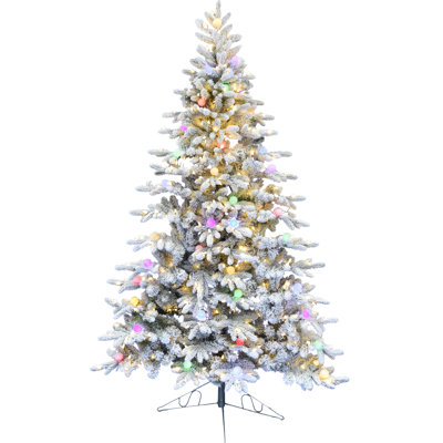 Fraser Hill Farm 6.5 ft. Flocked Prelit Artificial Half Christmas Tree with Warm White LED, Multicolor G40 Lights, and Stand