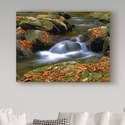 West Prong White Water' Photographic Print on Wrapped Canvas -  Trademark Fine Art, ALI37091-C1824GG