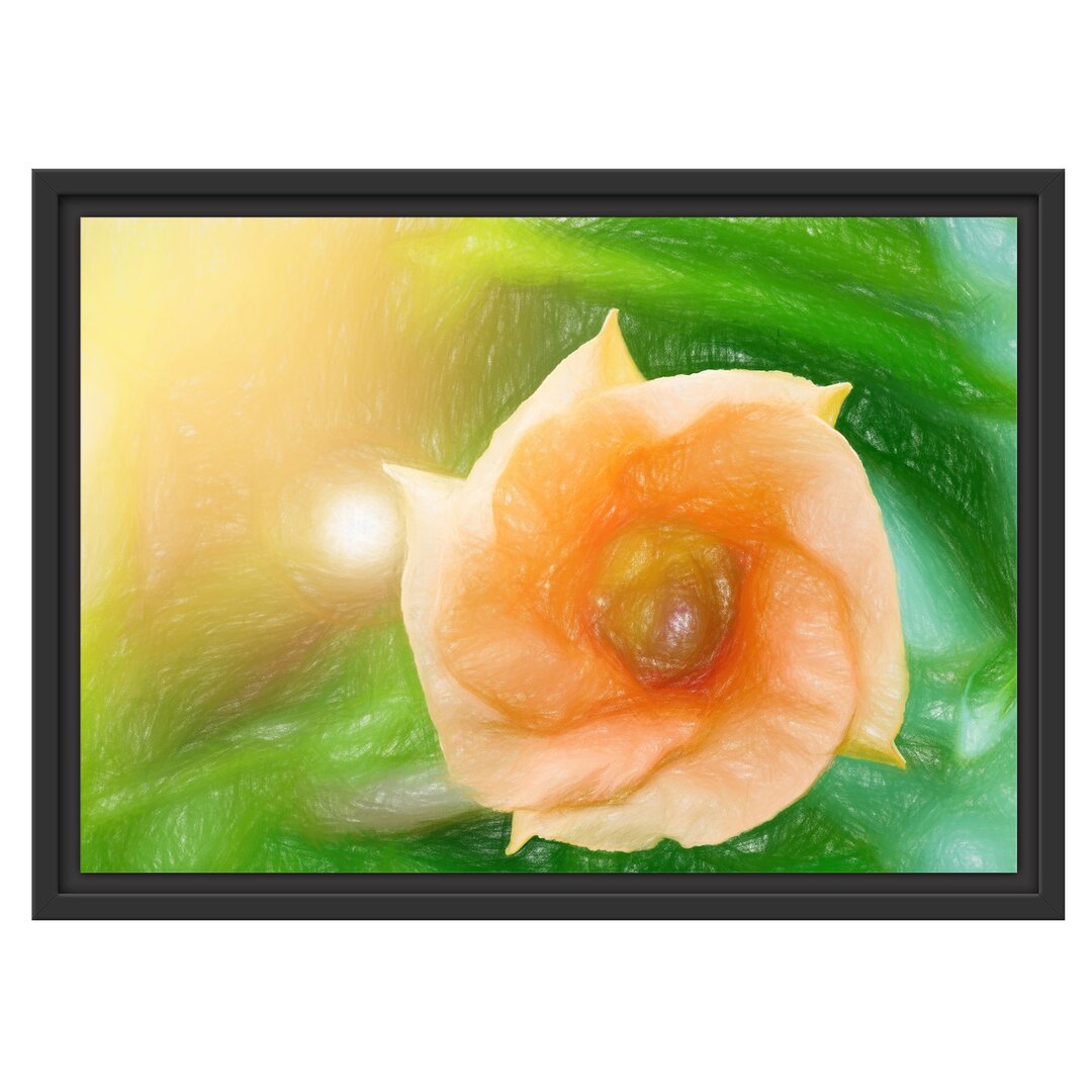 Gerahmtes Wandbild orange BlumeSonnenlicht