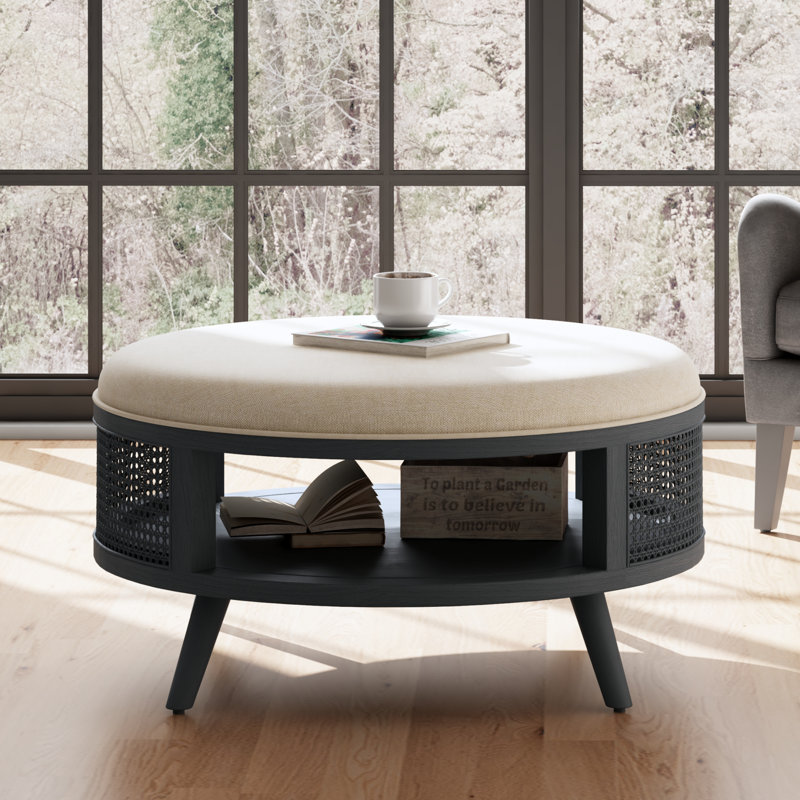 Pothos Round Rattan Coffee Table with Storage, Black