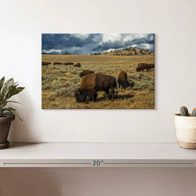 Brampt Yellowstone Bison, 8" H x 12" W