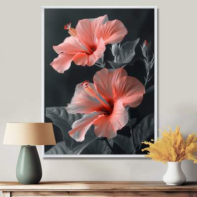 Hibiscus rose, gris, tropical, tentation - Hibiscus
