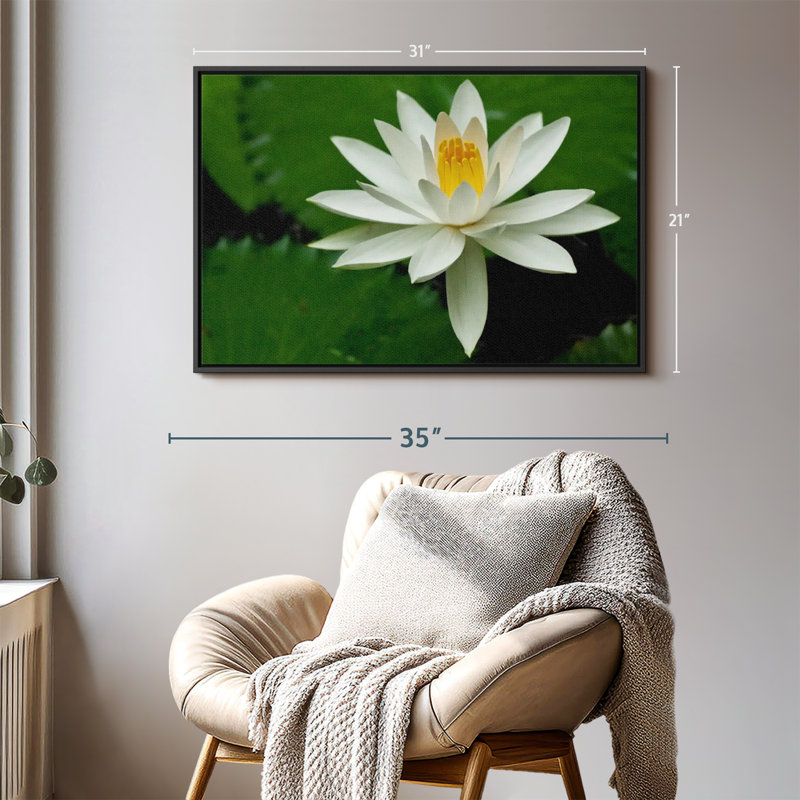Floral et botanique «Fleur de lotus blanche», H 21 po x l 31 po
