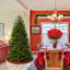 The Holiday Aisle® North Valley Spruce Tree-879224165
