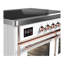 Majestic III Series 40 Inch Induction Range with 6 Induction Elements in Stainless Steel (Brass Trim)-1837201738-1837201740