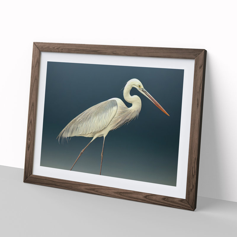Astounding Heron Bird - Single Picture Frame Print, 46cm H x 64cm W x 2cm D, Walnut Framed