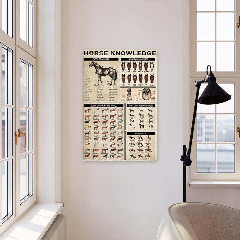 Horse Knowledge - Wrapped Canvas Graphic Art, 36"H x 24" W x 1.25" D