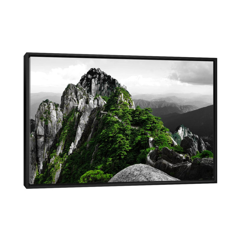 «Pure Plan», reproduction de photo sur toile, H 18 po x l 26 po x P 1,5 po, Toile encadrée noire, Pas de tapis