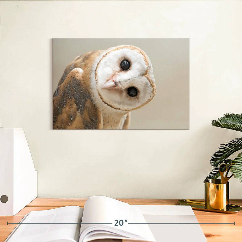 Hibou Brampt, H 8 po x l 12 po