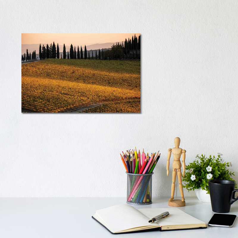 Italy, Tuscany, Vineyard, Late Light 1 Piece Wrapped Canvas Wall Art, 20.32 cm H x 30.48 cm W