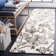 Harvester Hand Tufted Wool Floral Rug