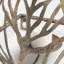 8.46'' H Metal Wall Wall Sconce