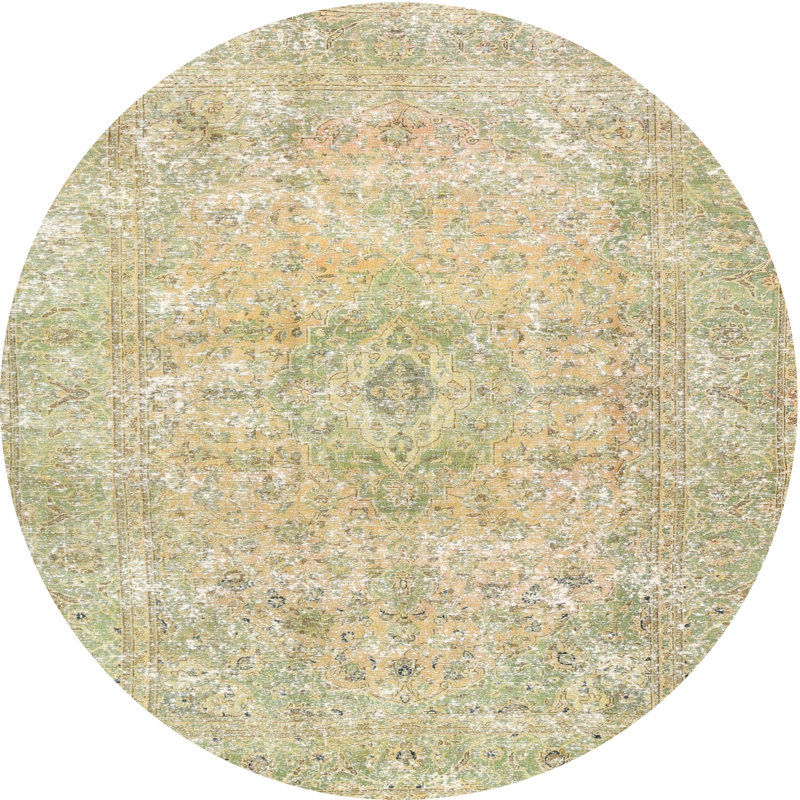 Evelien Oriental Indoor Rug, Round 6'