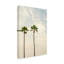 Toile tendue - Elena Chukhlebova «Duet Under the California Sun», art mural pour salon, chambre à coucher ou bureau - 30 x 47