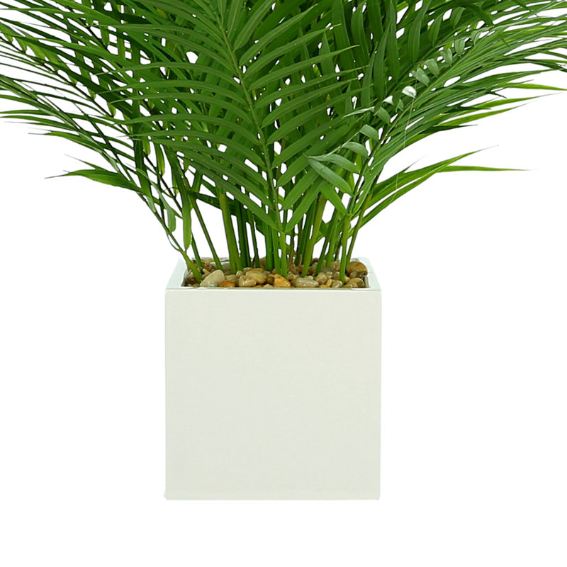 Roiguez Faux Palm Plant in Fiberstone Pot