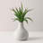 Succulent Plant Pick