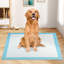 36''x 36''(100 Counts) Dog Potty Training Pads Puppy Pee Pads w/ Quick-Drying