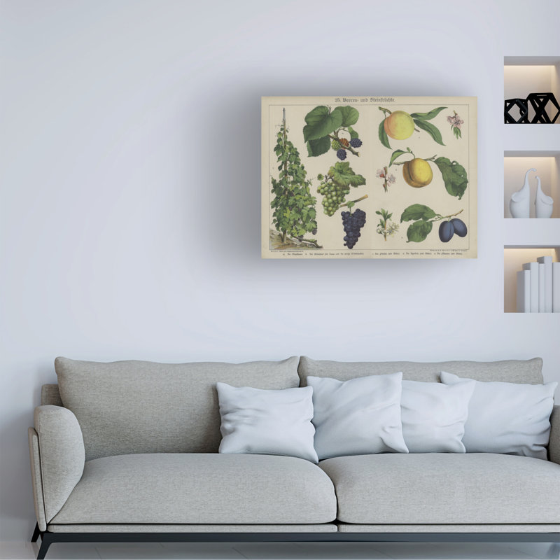 Art sur toile plantes allemandes, H 14 po x l 19 po