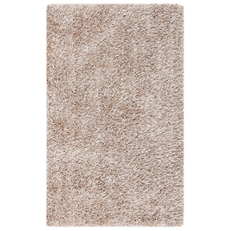 Assar Shag Beige Area Rug , Rectangle 3' x 5'