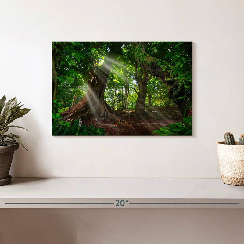 Forêt tropicale ensoleillée Alvord, H 8 po x l 12 po