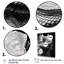 Portrait d'un reptile gris Monifa - impression-1050643698-1050643710
