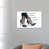 Toile tendue
