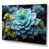 Wrapped Canvas