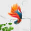 Aquarium 60-66 gallons-130036735-130036738