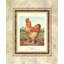 August Grove® Ludlow, J.W. Art sur toile tendue avec châssis: Buff. Cochin coq, livre de volaille Cassells-1655395714