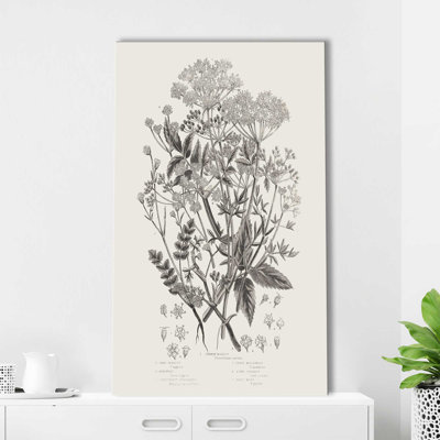 Plantes à fleurs I neutre - Peinture