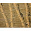 Dragnet Wool Striped Area Rug in Beige/Green-10214120