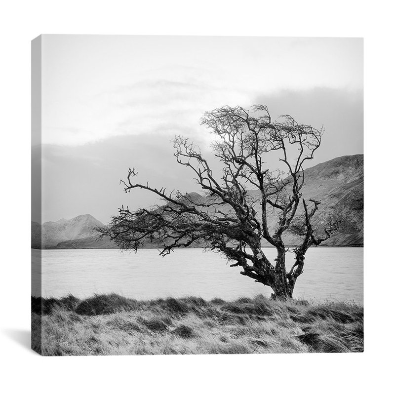 "Connemara Tree I", reproduction d'art sur toile par Geoffrey Ansel Agrons, H 12 po x l 12 po x P 0,75 po, Toile tendue