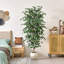 Gracieux arbre de ficus artificiel pliant de 6,6 pi avec un tronc en bois véritable authentique