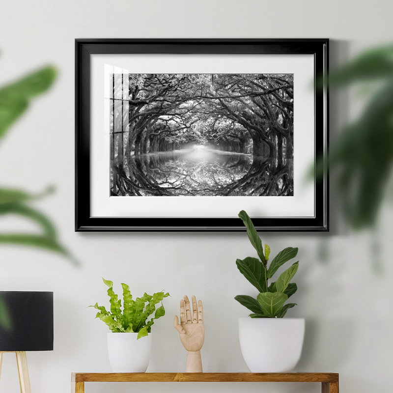 Oak Alley Reflection - photographie de cadre, H 30,5 po x l 42,5 po x P 1,5 po, Papier avec cadre noir