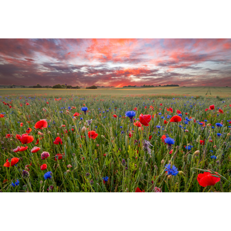 Red Sky At Night by Caroline Brundle Bugge - Wrapped Canvas Print, 61cm H x 91cm W