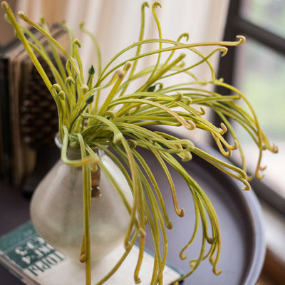 Tige de sarracenia artificielle