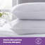 Herma L74 x W48cm Support Pillow