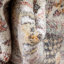 Rodeo Floral Synthetic Area Rug-37927292