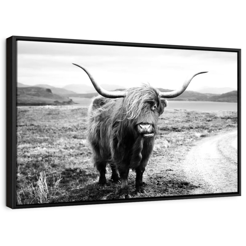 Animal «Highland Bull», H 25 po x l 17 po